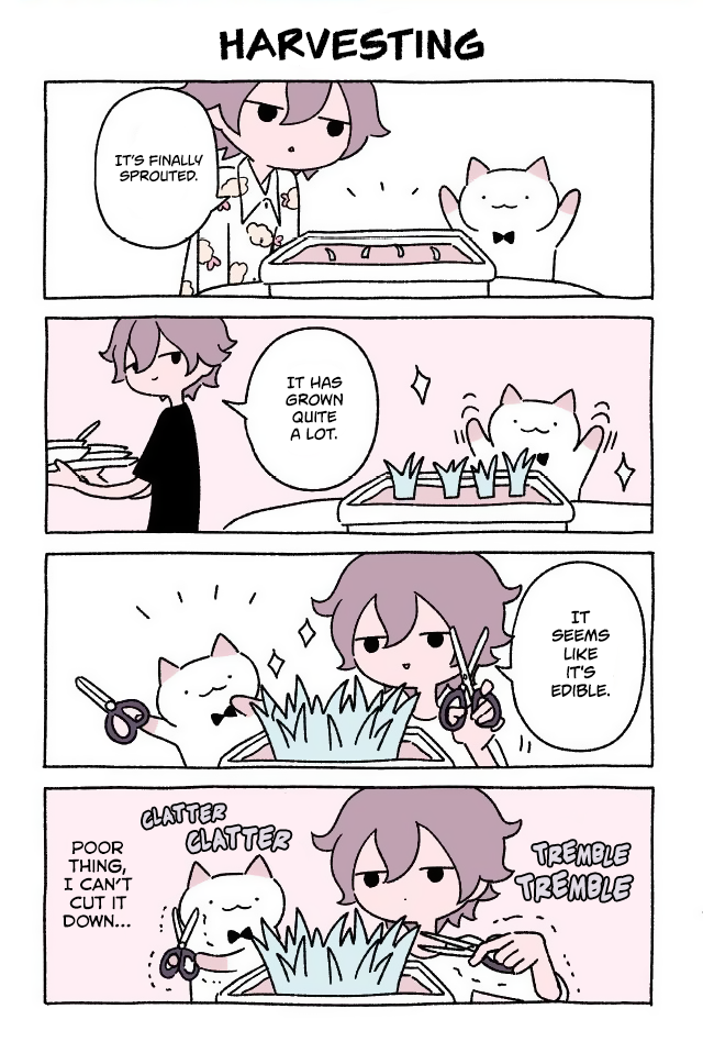 Wonder Cat Kyuu-chan Chapter 51 1